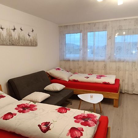 Apartment Lahr 50 מראה חיצוני תמונה
