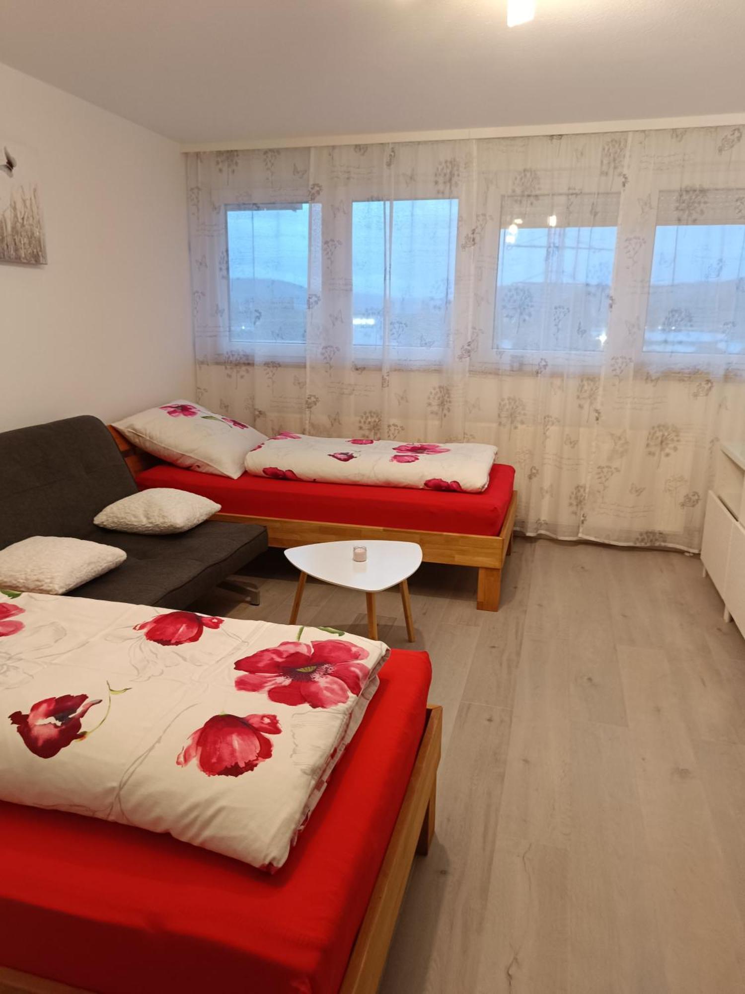 Apartment Lahr 50 מראה חיצוני תמונה